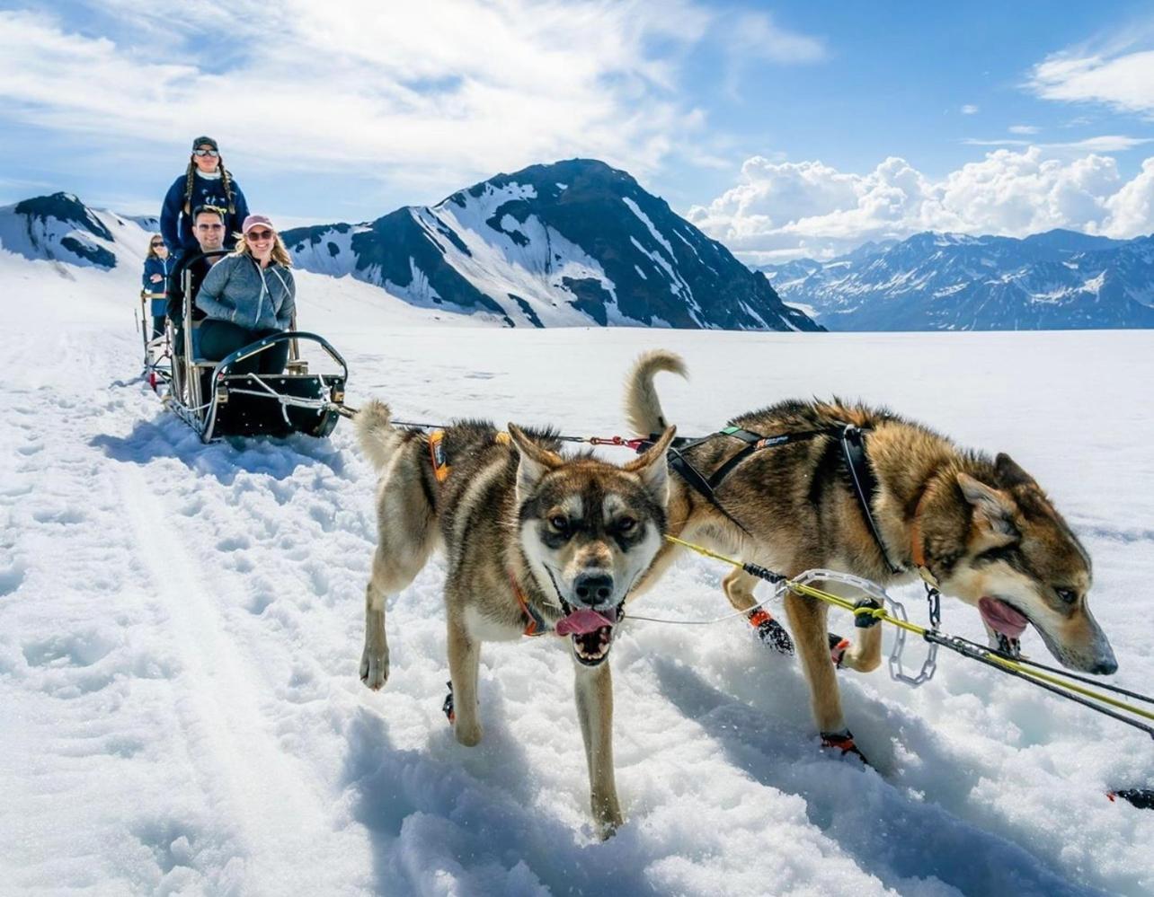 Alaska Glacier Lodge 팔머 외부 사진